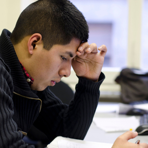 Dreamy Bird Song Meditations