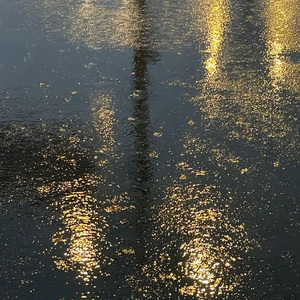 【Free】‘阴雨天’ Piano Type Beat