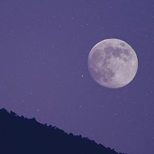悠闲时光