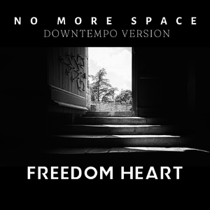 No More Space (Downtempo Version)