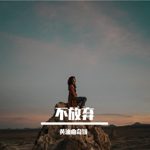 夕阳下的海岸线