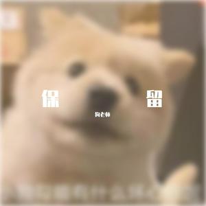 保留-狗老师(2)