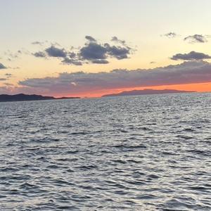 秘蜜 (feat. 知声)