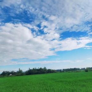 【Free】'雨过天晴' Emotional 钢琴Type Beat