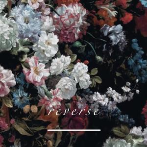 溯 (Reverse)（翻自 马吟吟）