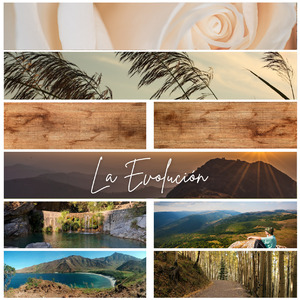 La Evolución