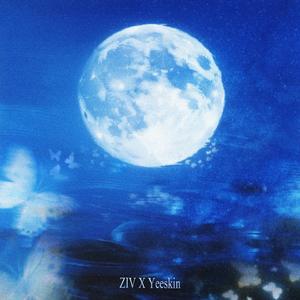 每个我睡不着的夜