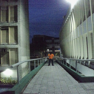 Tapete Lv