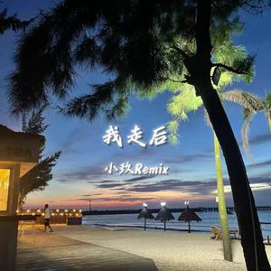 我走后（DJ小玖Remix）