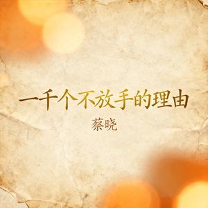 一千个不放手的理由