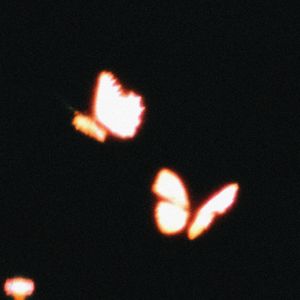 对比（Prod.lucid）