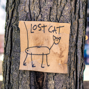 惦念（Ft. 临暗）