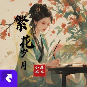 繁花岁月 (DJ版)