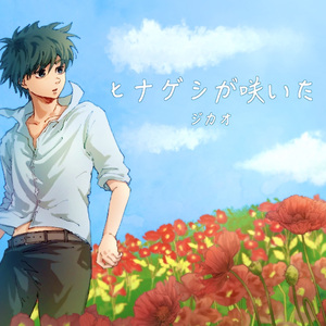 ヒナゲシが咲いた