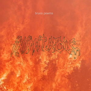 el mundo de bruno pewma