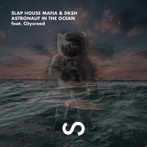 Astronaut In The Ocean