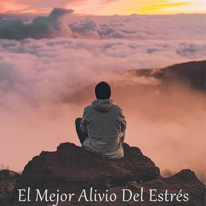 Mejora Tu Estado De Ánimo