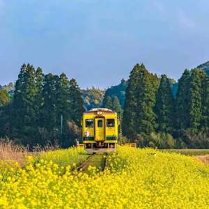 don't love me （demo） 伴奏