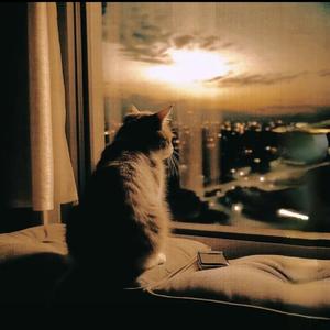 我用什么把你留住 （DJ阿豆 remix）