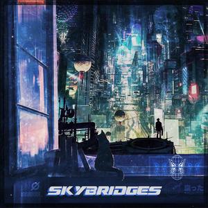SKYBRIDGES