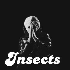 Insects