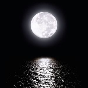 烙印(Prodby 牙刷)