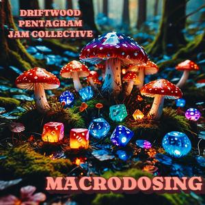 Macrodosing (Live w/Ian Raskin)
