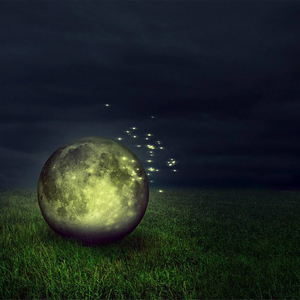 落花无言 (助眠音乐3分钟入睡)