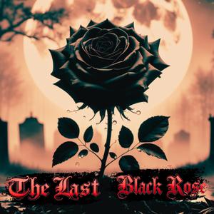 The Last Black Rose