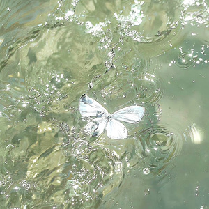 夜游 cover原唱:吴睍/方觉夏/马正阳/裴听颂 词:稚楚（翻自 裴听颂）