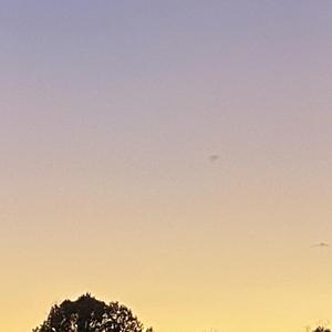 So I Guess This Is Goodbye…