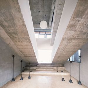 梧桐树下的守望与思念