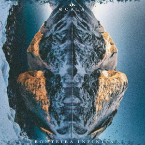 Decoerência (Fronteira Infinita)