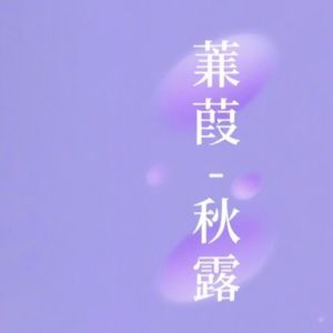 风停在耳边