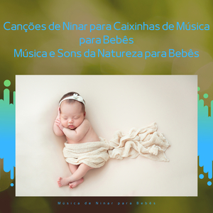 Delicadeza (Ambiente Da Natureza)