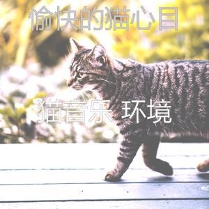 温和小猫梦想