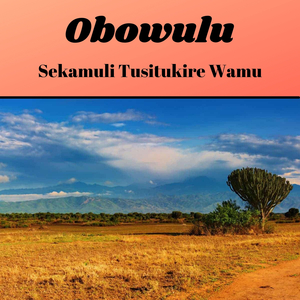 Amagombe