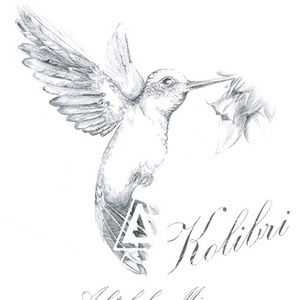 Kolibri