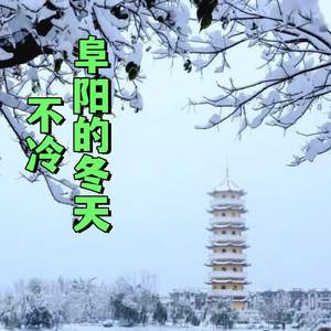 阜阳的冬天不冷