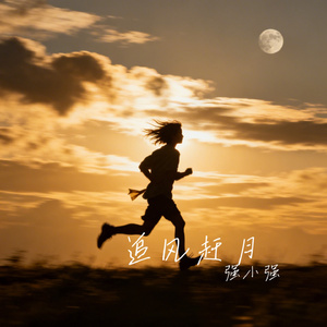 追风赶月