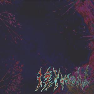 【FREE】Stargazing（Prod.by misogyny)