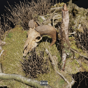 Plot. （prod by $tan）