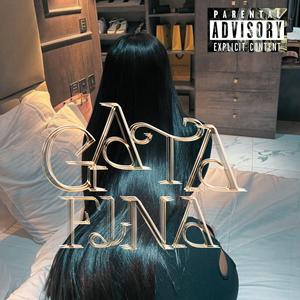 Gata Fina (feat. ztv)