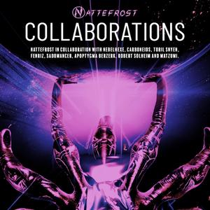 793 (Robert Solheim Remix)