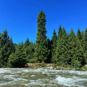 缱绻缠绵情意长