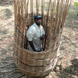 Obogima Bwakongire (Remastered)