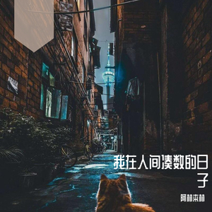 我在人间凑数的日子