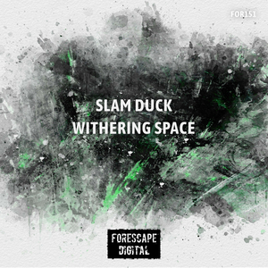 Withering Space (Original Mix)