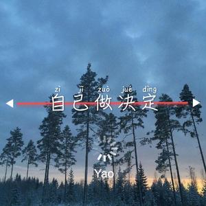 Backstreet Boys-自己做决定（Yao remix）