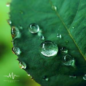 漫天星 (水滴声+催眠曲)